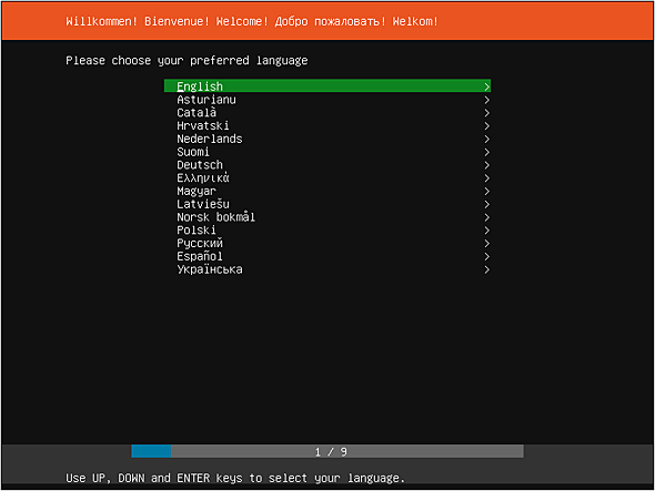Subiquity setup in Ubuntu Server 20.04